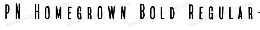 PN Homegrown Bold Regular字体转换